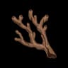 Coral Branch of a Distant Sea