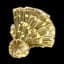 Golden Fleece