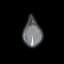 Impure Phlogiston