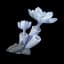 Stone Rose