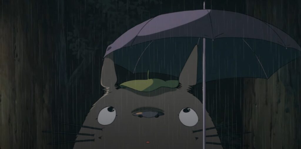 Totoro kawaii